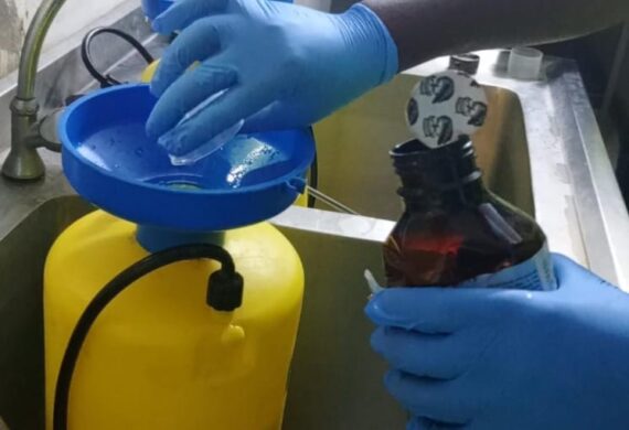 fumigation and pest control